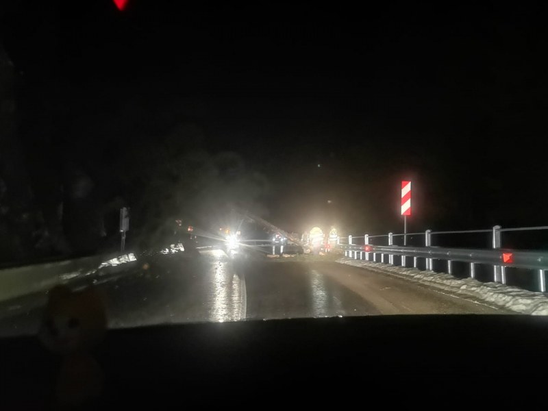 Паднали дървета блокираха път в Родопите