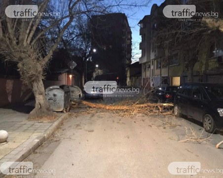 30 обаждания на 112! Какви са щетите след силния вятър в Пловдив и областта?