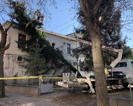 Над 40 сигнала за паднали дървета и клони в Пловдивско