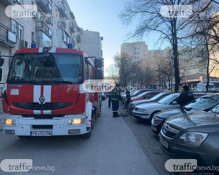 Паднали дървета нанесоха щети по десетки коли в Пловдив