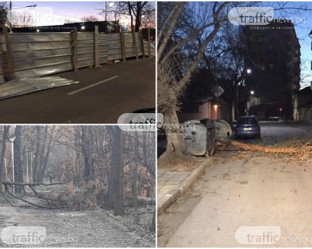 След силния вятър в Пловдив: Паднали клони и огради в целия град