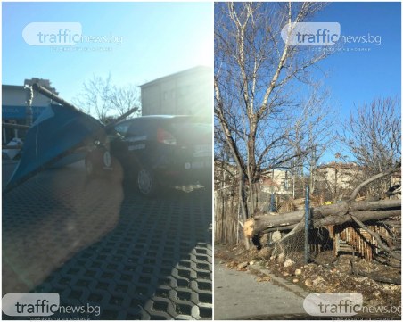 Макет на известен ресторант се стовари върху кола до Лаута, дърво премаза ограда