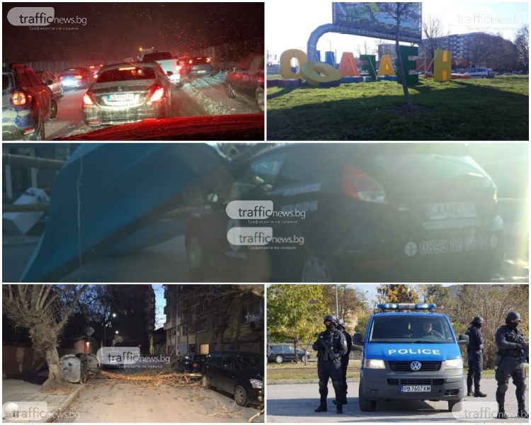 ОБЗОР: Ураганна буря с десетки щети в Пловдив, арестувани дилъри и пет нови случая на Лаймска болест