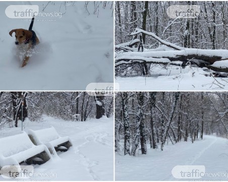 Снежна приказка в парк Лаута