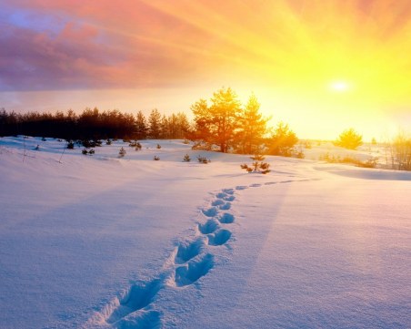 Последен мразовит ден, само след няколко дни термометърът чука 15 градуса