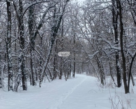 Жълт код в 18 области! Минималните температури в Пловдив падат