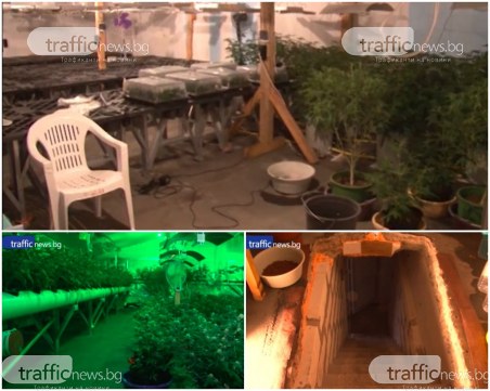 Марихуана за над половин милион лева е открита в тайник на фабрика за биткойни край Пазарджик