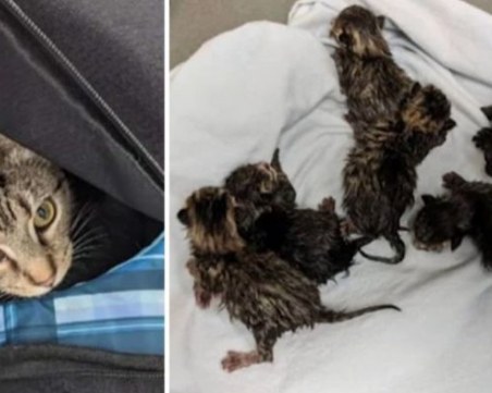 Обезвредиха 