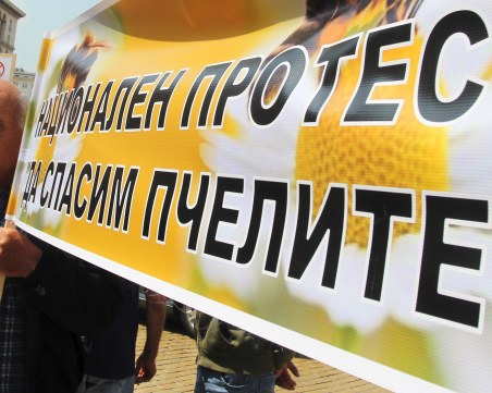 Пчеларите излизат на протест пред Земеделското министерство, пловдивските браншовици ги подкрепят