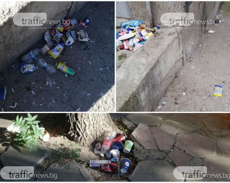 Районът около Спортното  в Пловдив − затрупан от боклуци, от квартала винят учениците