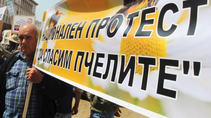 Пчеларите излизат на протест пред Земеделското министерство, пловдивските браншовици ги подкрепят