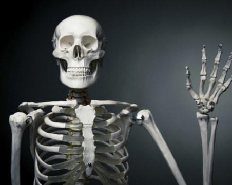 10 невероятни факта за човешкото тяло, които ще ви изумят