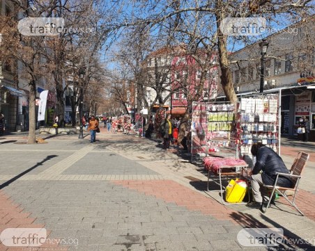 Февруарска пролет в Пловдив! До 18 градуса днес