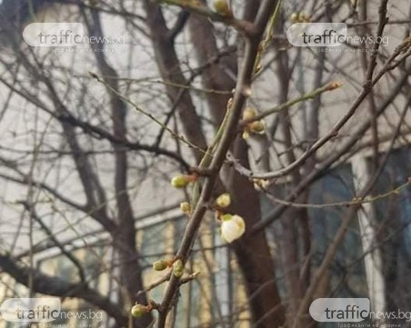 Слънчево и топло остава и днес