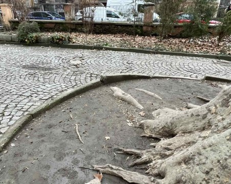 Заради инцидент: Родители събират средства за ремонт на двора на Музикалното училище