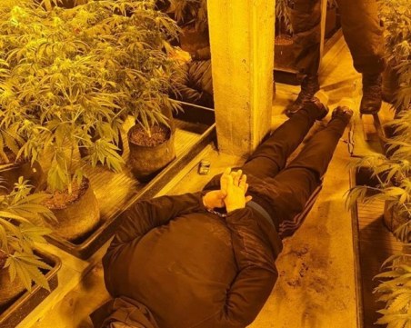 Гешев: Разбихме модерна лаборатория за марихуана