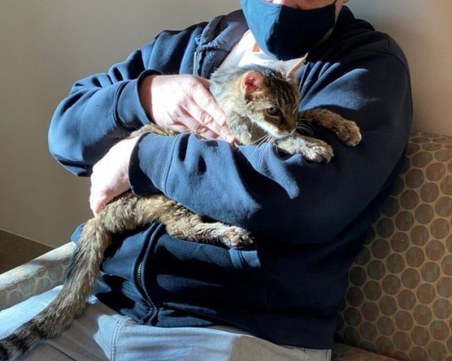 Изчезнала преди 15 г. котка беше върната на собственика ѝ