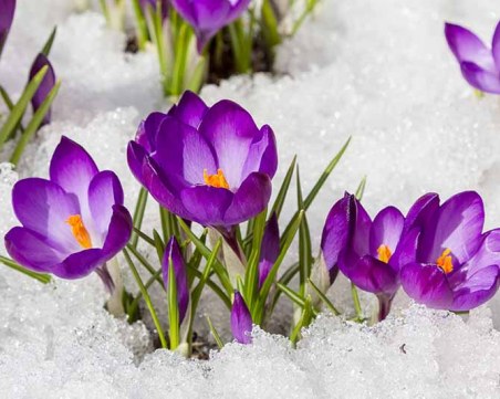 Мартенска седмица - очакват ни дъжд, слънце и сняг!