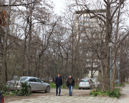 След сигнали от граждани: Разчистват опасни клони в Пловдив