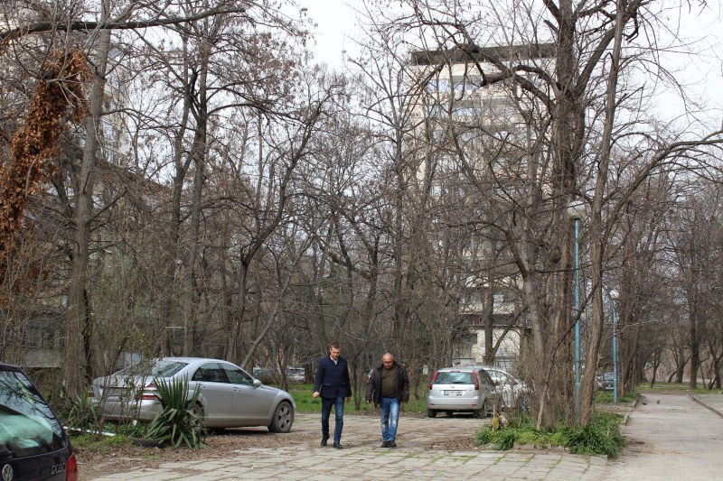 След сигнали от граждани: Разчистват опасни клони в Пловдив
