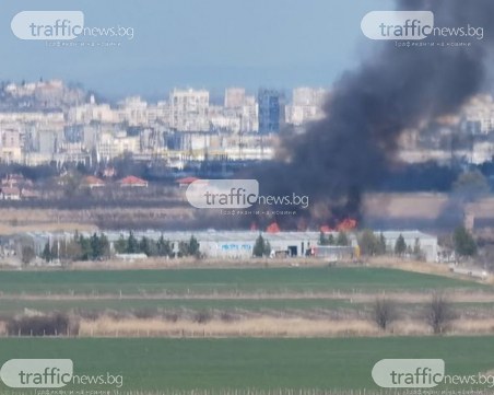 Пожар гори край Околовръстното на Пловдив