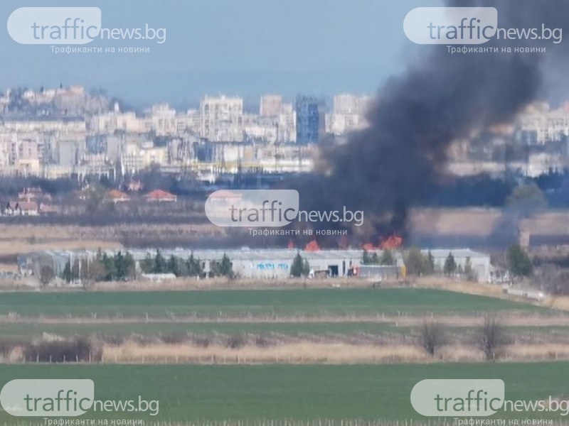 Пожар гори край Околовръстното на Пловдив