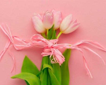 Честит 8-ми март, скъпи дами!