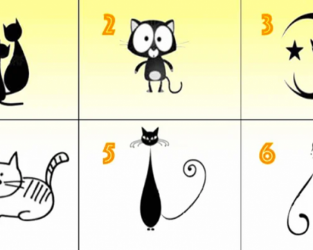 Изберете котка и открийте нещо за вашия характер