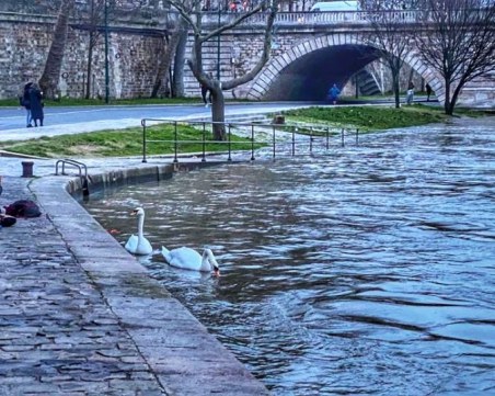 Полиция контролира кейовете на Сена в Париж