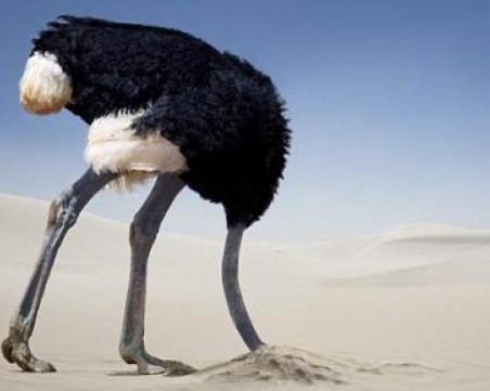 Локални ограничителни мерки? Колкото на Занзибар няма коронавирус!