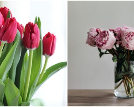 Малки трикове: Как свежите цветя да издържат по-дълго?