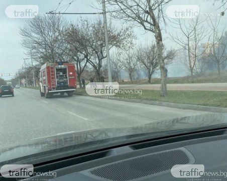 Запалиха поляната срещу Община Тракия, на място са екипи на пожарна и полиция