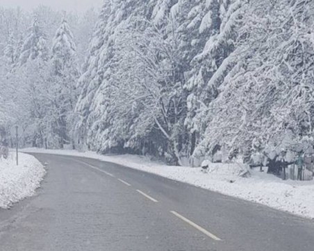 234 машини обработват пътищата в страната