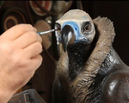 Редки видове птици 