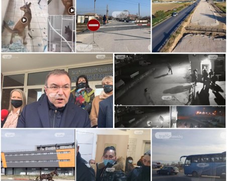 ОБЗОР: Спряха ваксинацията с Астра Зенека, след смъртен случай в Пловдивско, кон препуска в насрещното