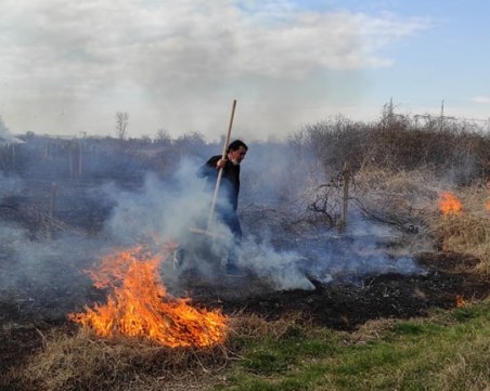 Пожар в пловдивско село, местни жители потушиха пламъците в лозовия масив