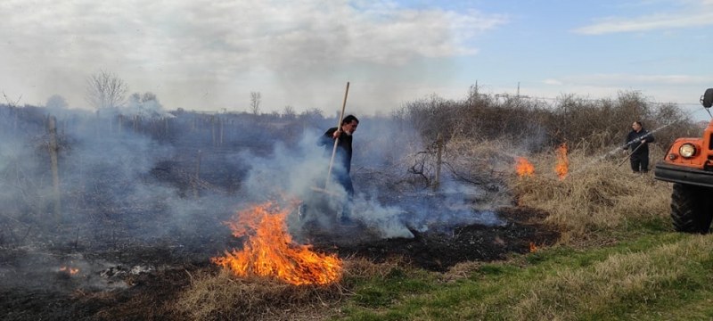 Пожар в пловдивско село, местни жители потушиха пламъците в лозовия масив
