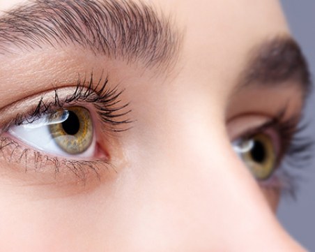 Любопитни факти за най-честния орган в човешкото тяло