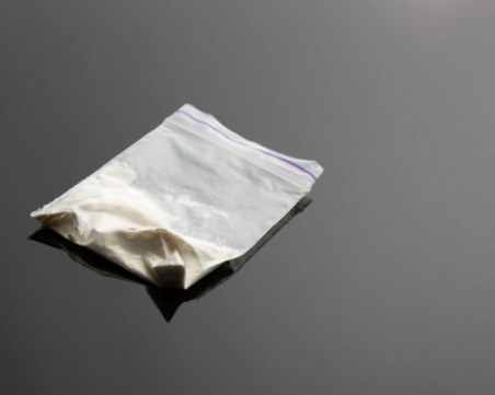 Арестуваха 22-годишен в ботаническата градина в Пловдив