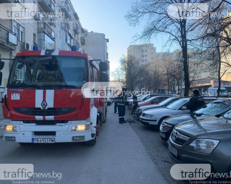 Пожарната в Пловдив накрак заради ураганния вятър - над 20 сигнала за паднали дървета и клони