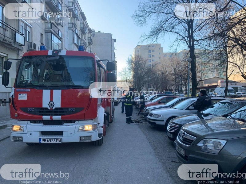 Пожарната в Пловдив накрак заради ураганния вятър - над 20 сигнала за паднали дървета и клони