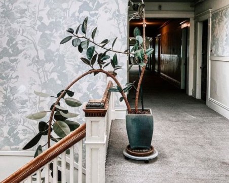 Нова тенденция за декорация на дома - естетиката на гората