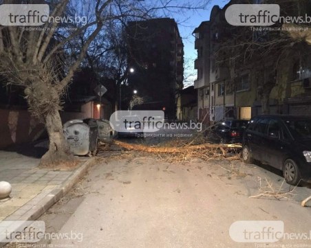 Пловдив с най-много щети от вятъра у нас, над 30 са сигналите до момента