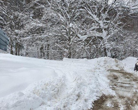 Снегът блокира път в Родопите