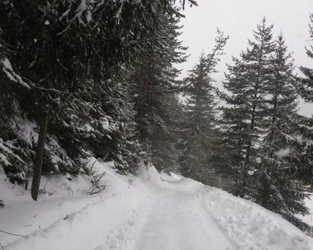 Валежи от дъжд и сняг над цялата страна днес