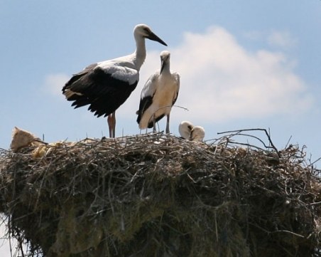 На този ден: Посрещаме първа пролет, започват Стоте дни на Наполеон