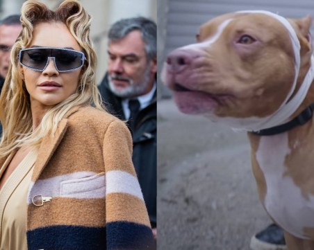 Оплюха Рита Ора и видеото, заснето в България, заради питбул с рязани уши