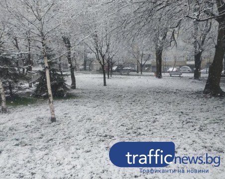 Бяла приказка в Пловдив! Сняг се сипе на парцали