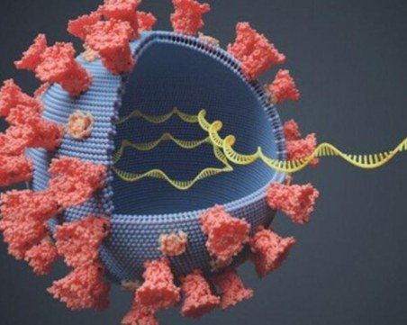 СЗО: Във все повече страни се откриват нови варианти на коронавируса