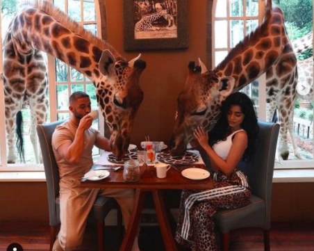 Звездна двойка от родния хайлайф закусва в компанията на жирафи в Кения